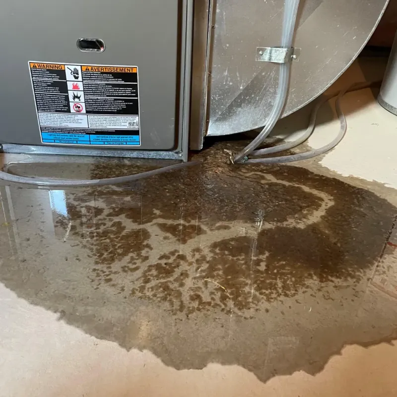 Appliance Leak Cleanup in Sargent County, ND